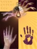 Handprints: 2010 Mother’s Day card (2010)
